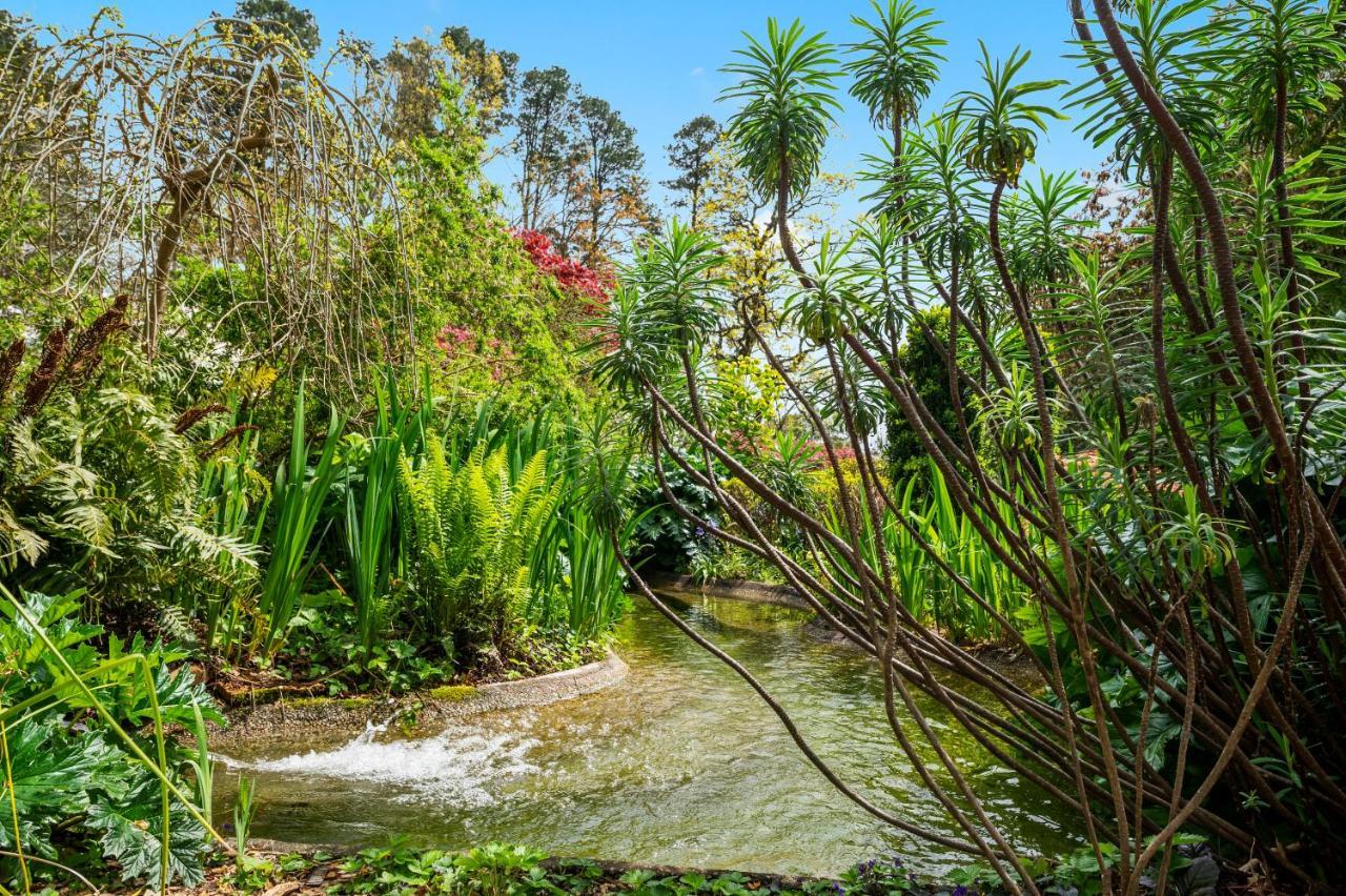 Parklands Country Gardens & Lodges Blue Mountains Blackheath Esterno foto