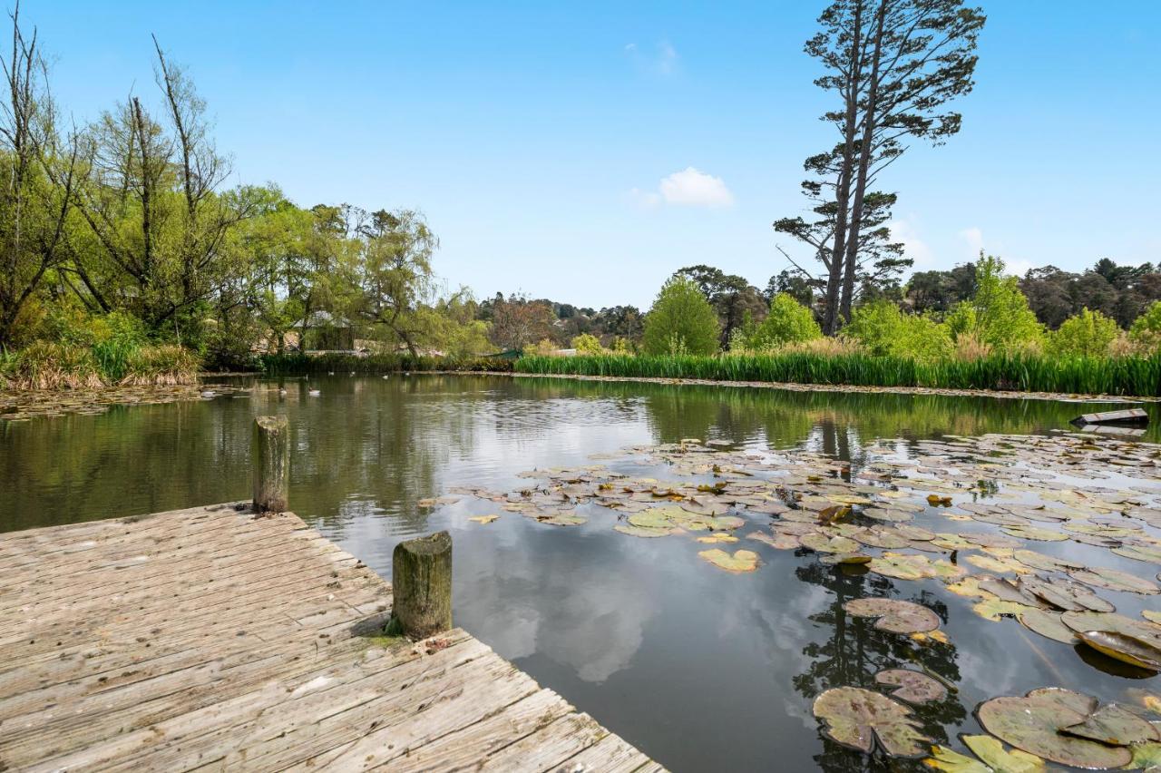Parklands Country Gardens & Lodges Blue Mountains Blackheath Esterno foto