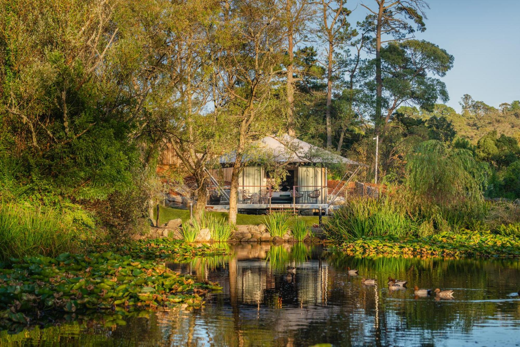 Parklands Country Gardens & Lodges Blue Mountains Blackheath Esterno foto